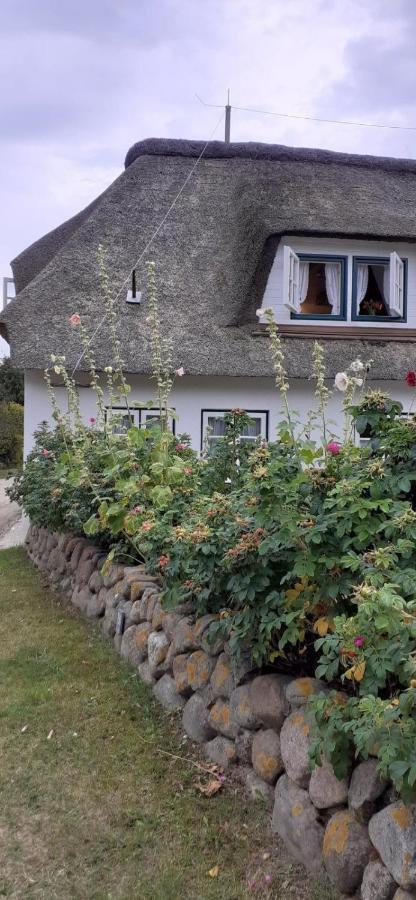 Seepferdchen Nebel Exterior foto